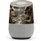 Alchemy Carta Gestaltkopf Google Home Skin